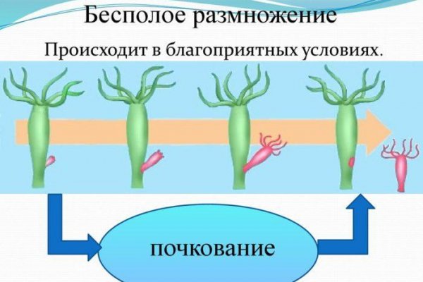 Сайт blacksprut онион ссылка